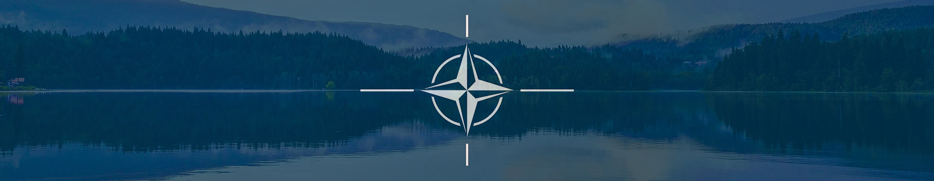 Svenskarna om Sverige och Nato - Novus